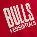 Yishan ESSENTIALS Bulls Sport Hoodie (3)